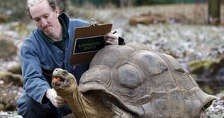 London Zoo keepers make annual animal head count